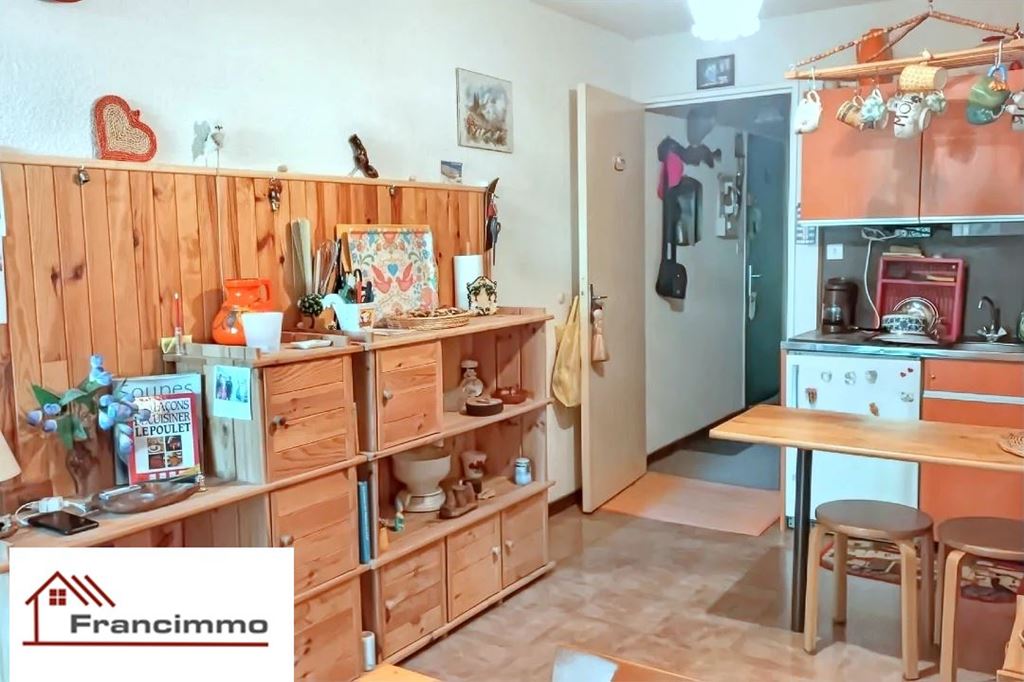 Appartement CHATEAU BERNARD (38650) FRANCIMMO