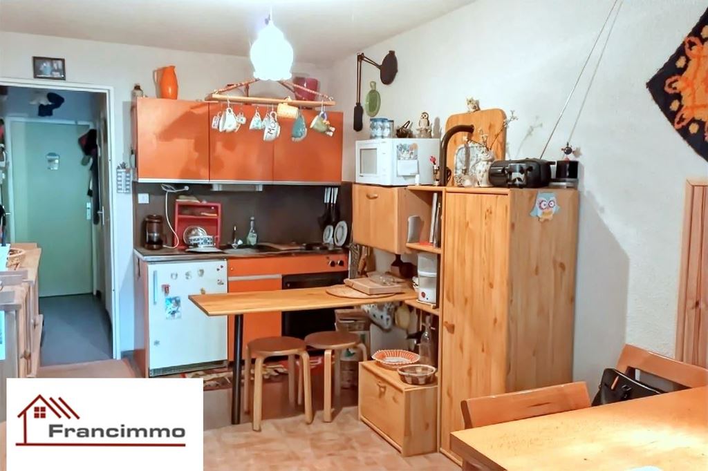 Appartement CHATEAU BERNARD (38650) FRANCIMMO